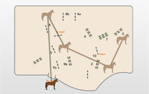Equestrian Course